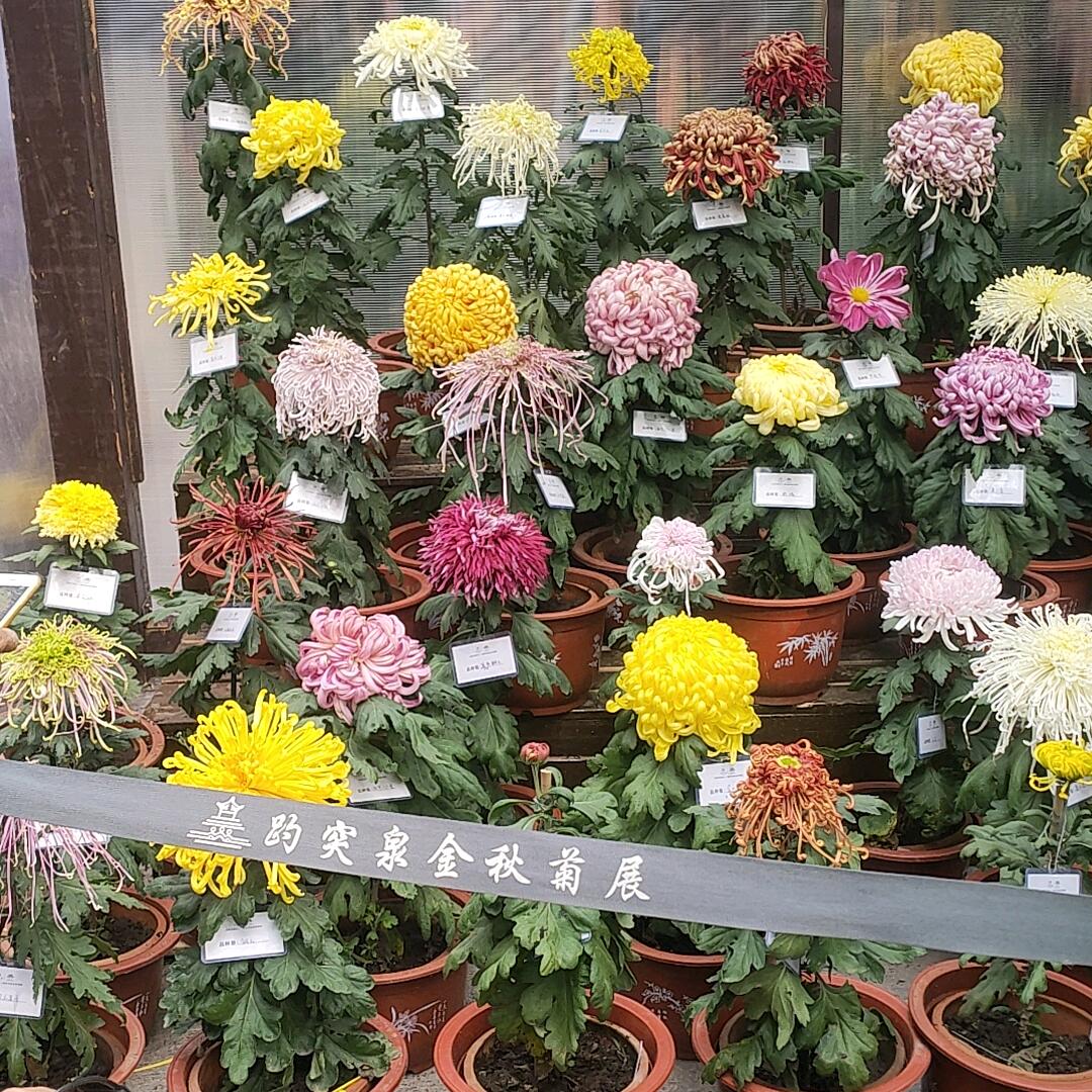 农村的孩子