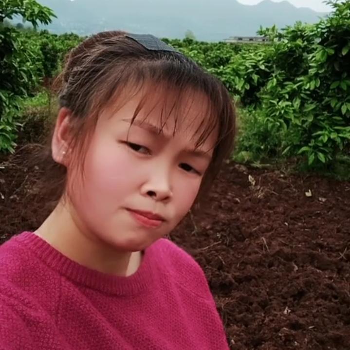 橙心如意