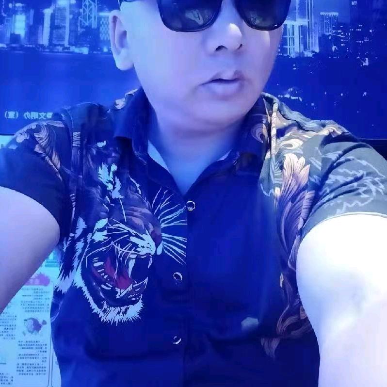 森林老狼