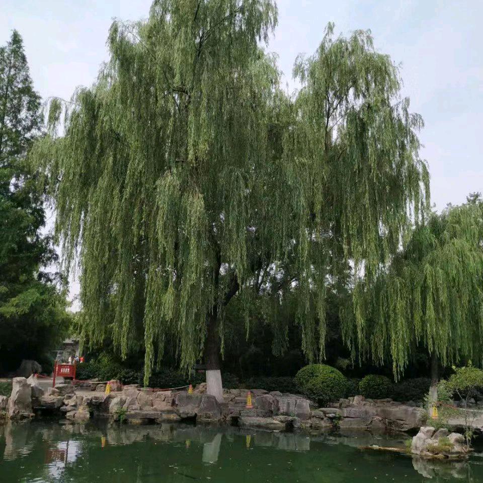 回忆过去