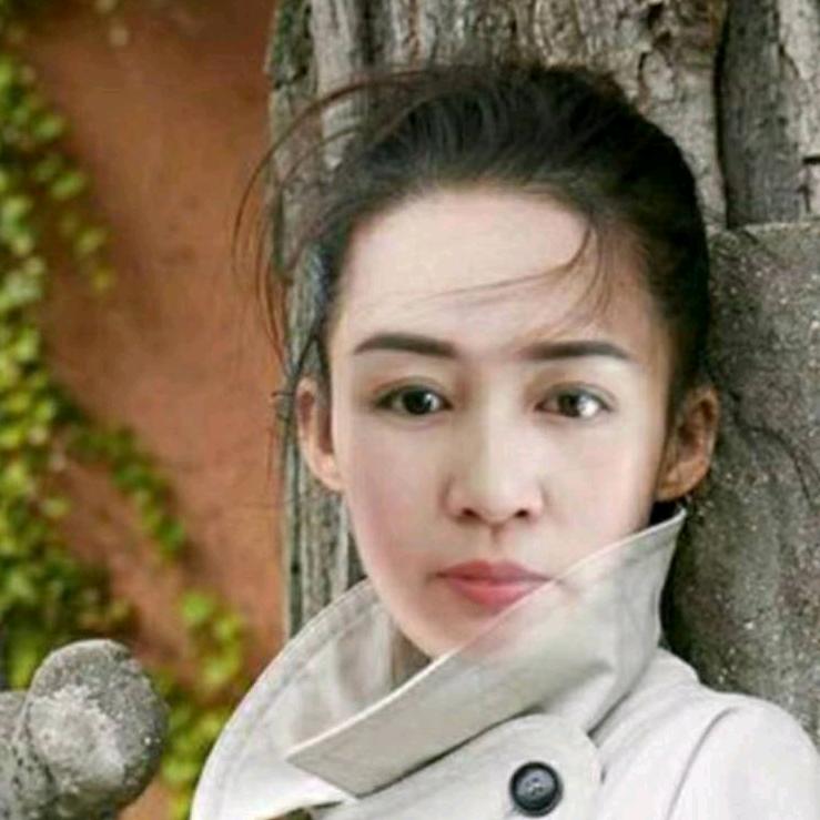 傲雪红梅