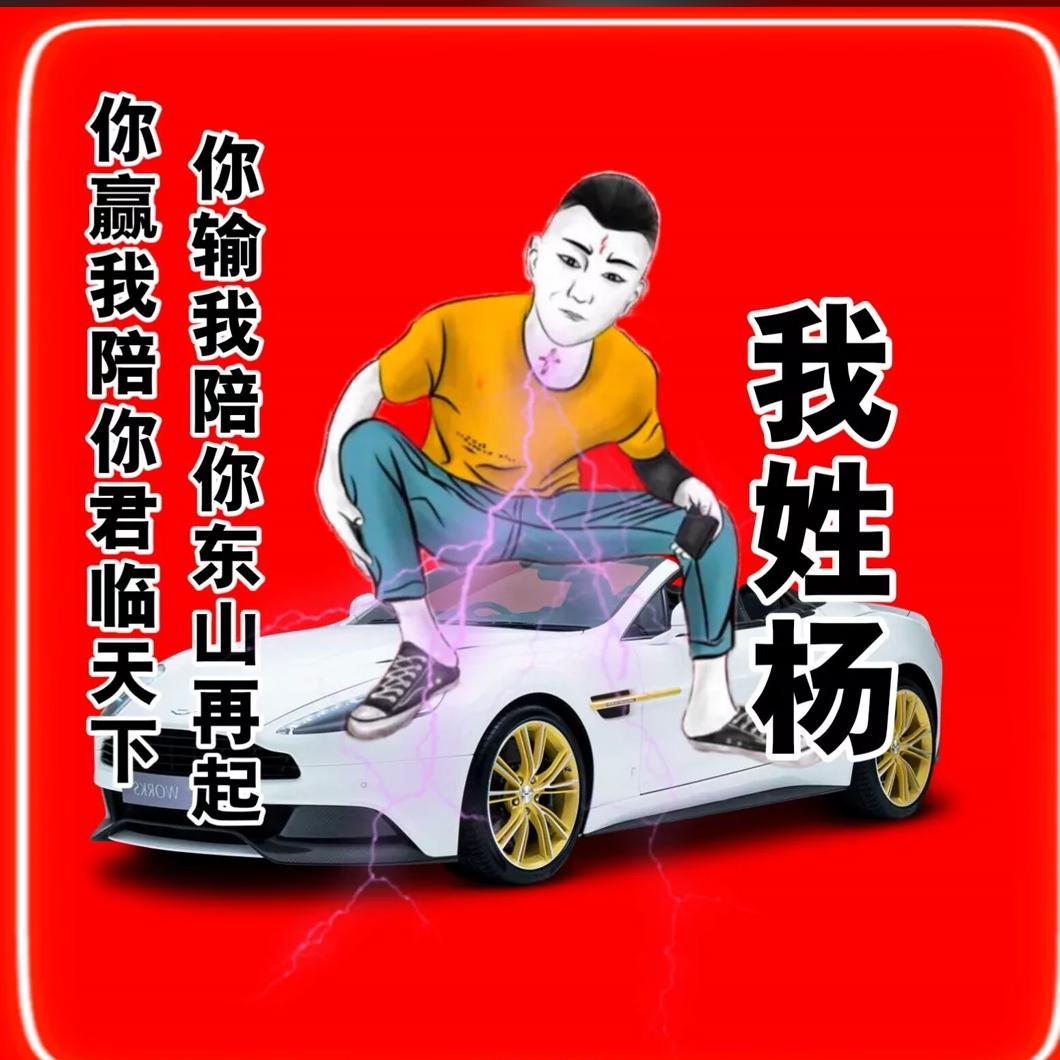 杨公子