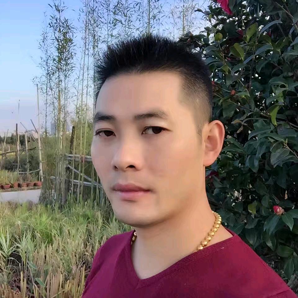 练陈强