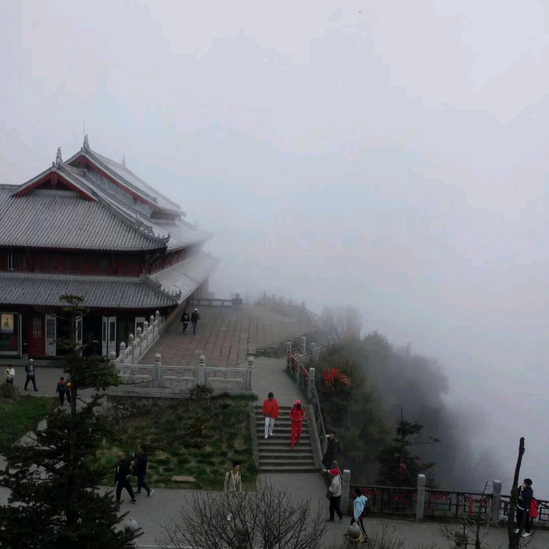 小兔探险日记