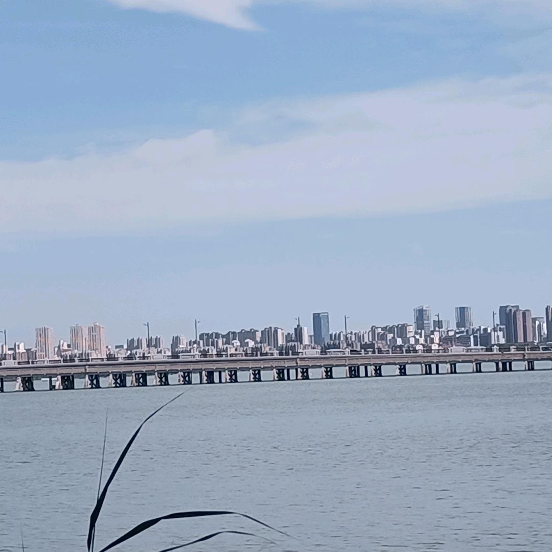 有点懒不想工作