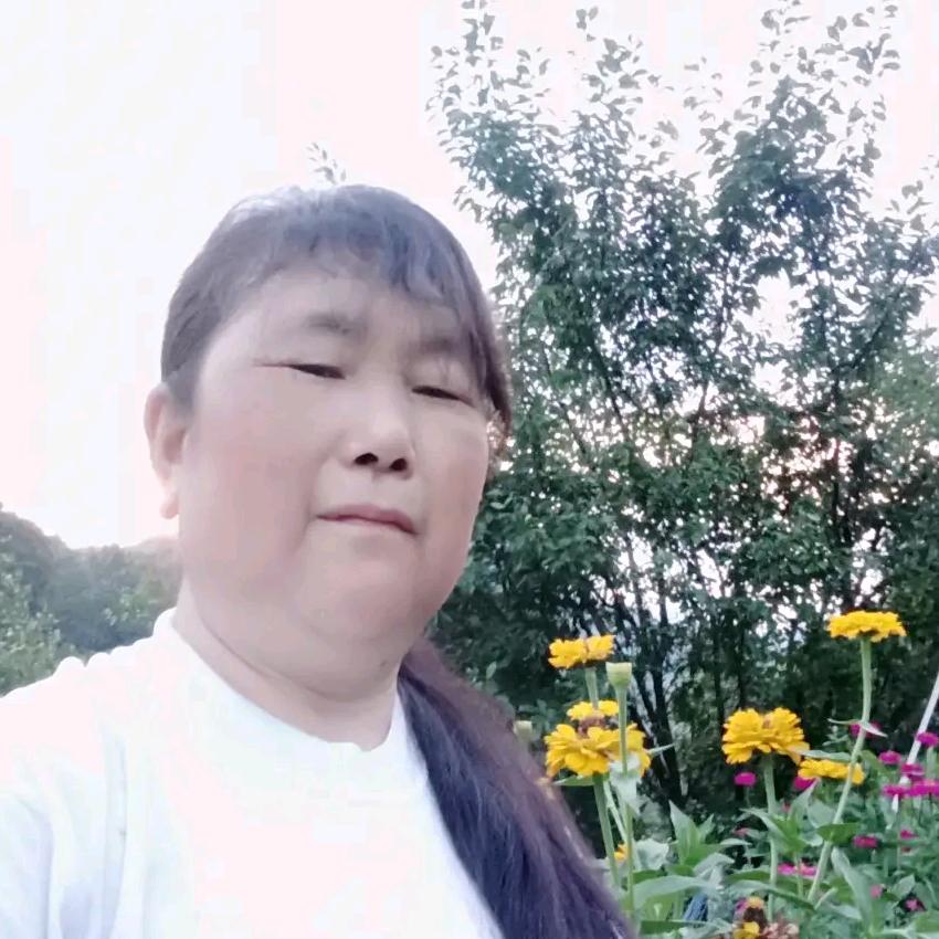 923，，的伍姐