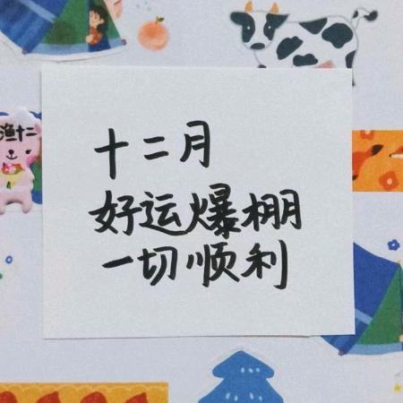 专业张队长