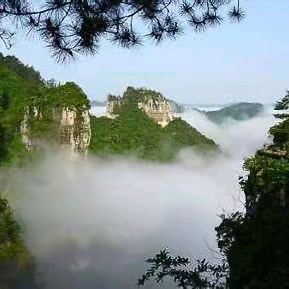 木子李挖机出租