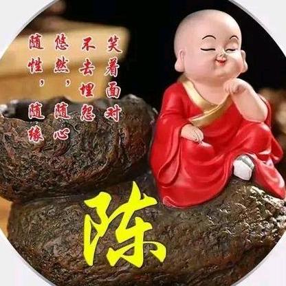 陕西小陈