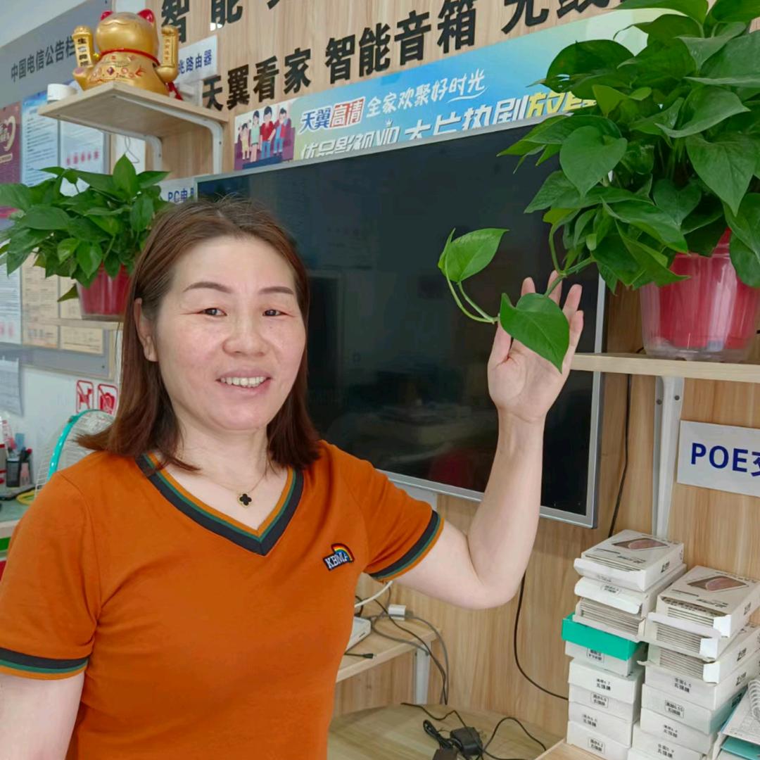 琴琴推荐