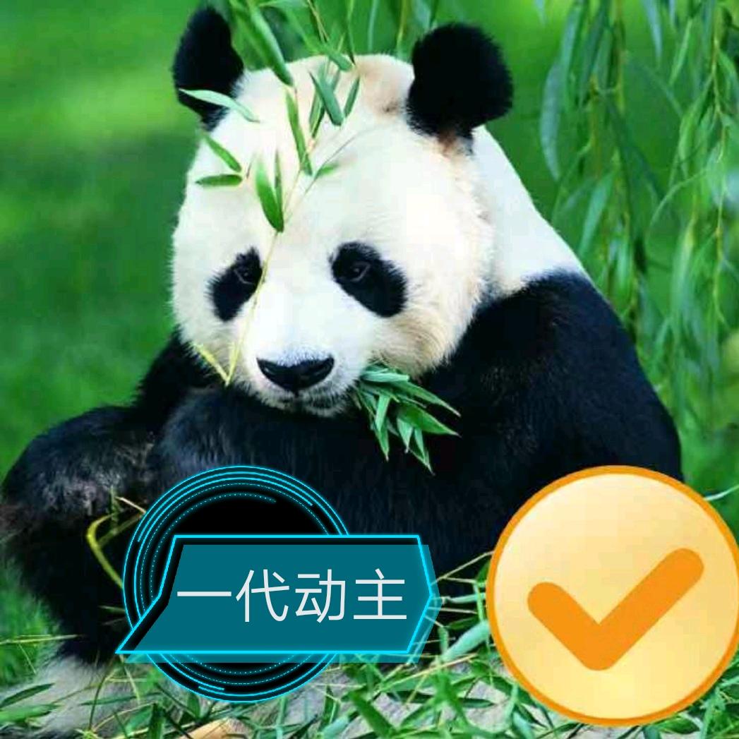 一代动主