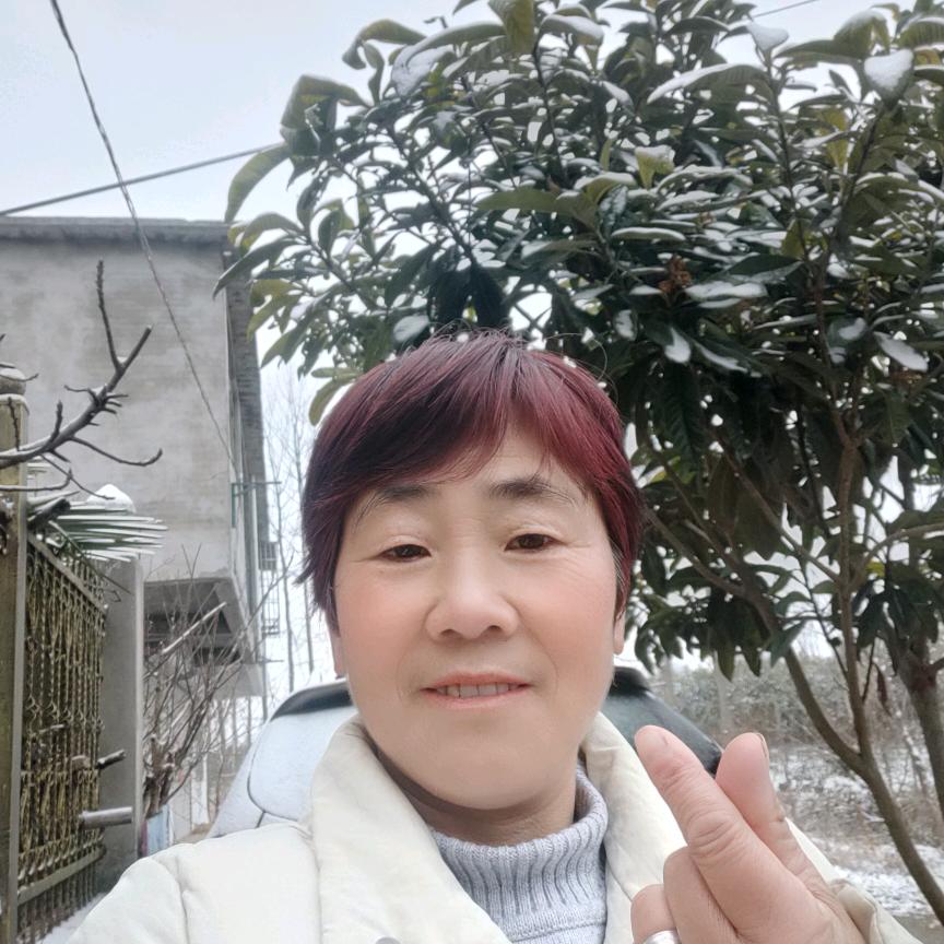 丁夫人，胡小姐不定时聊天直播