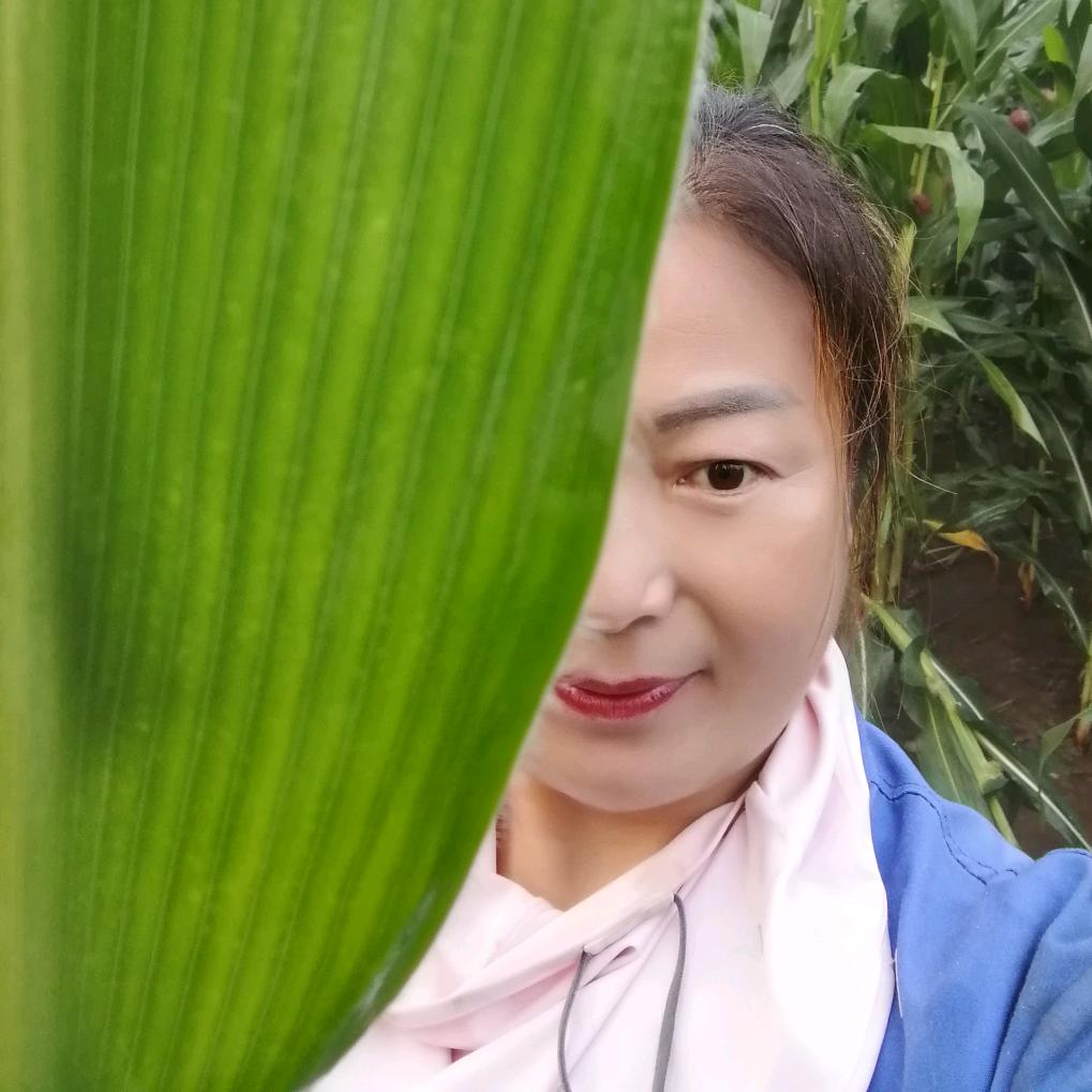 往事如风