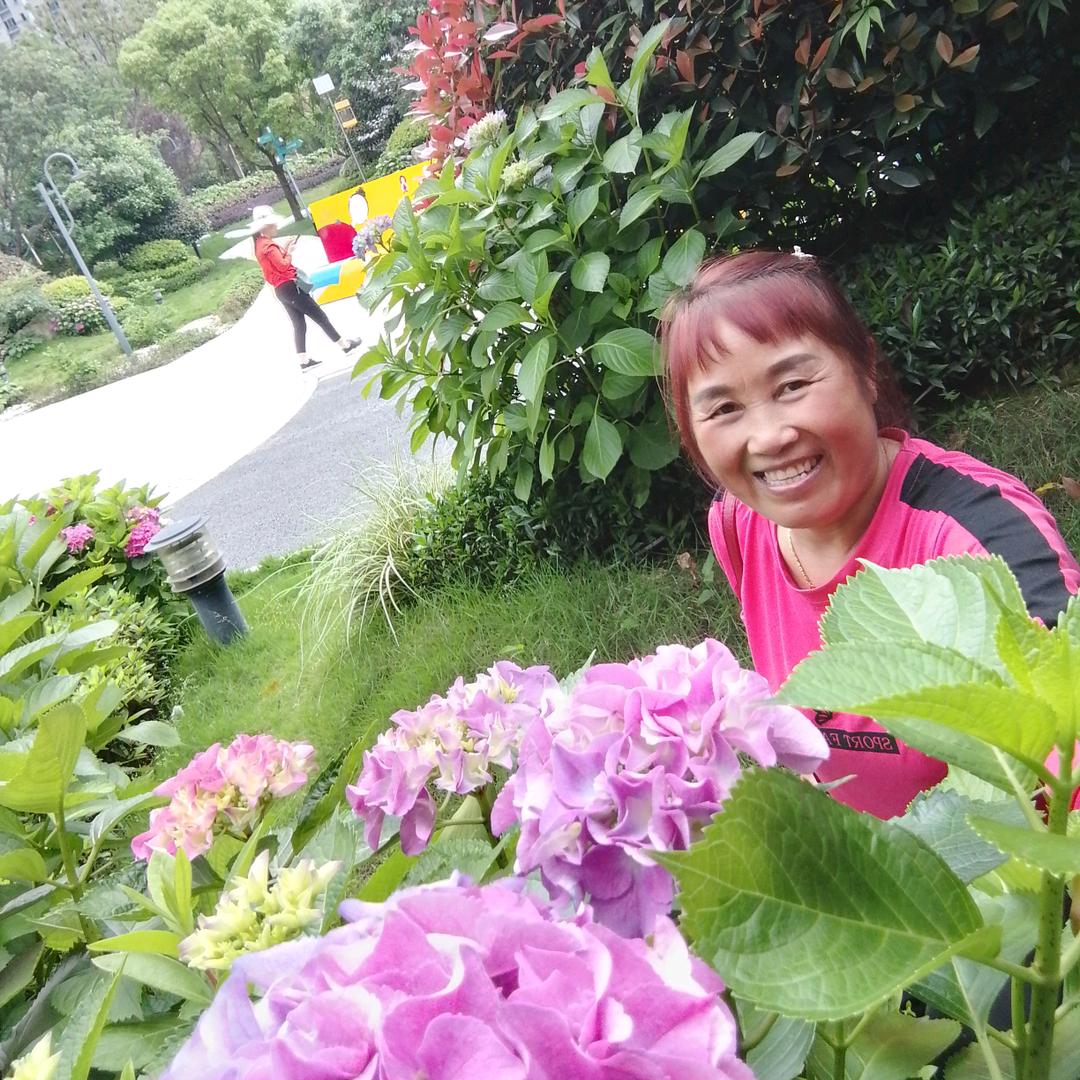 回不去的时光