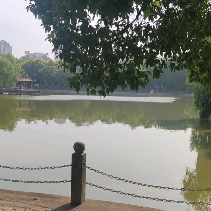 向光而行