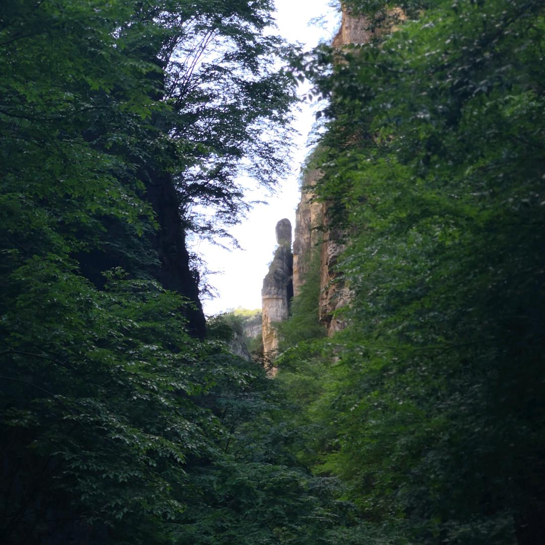 景观