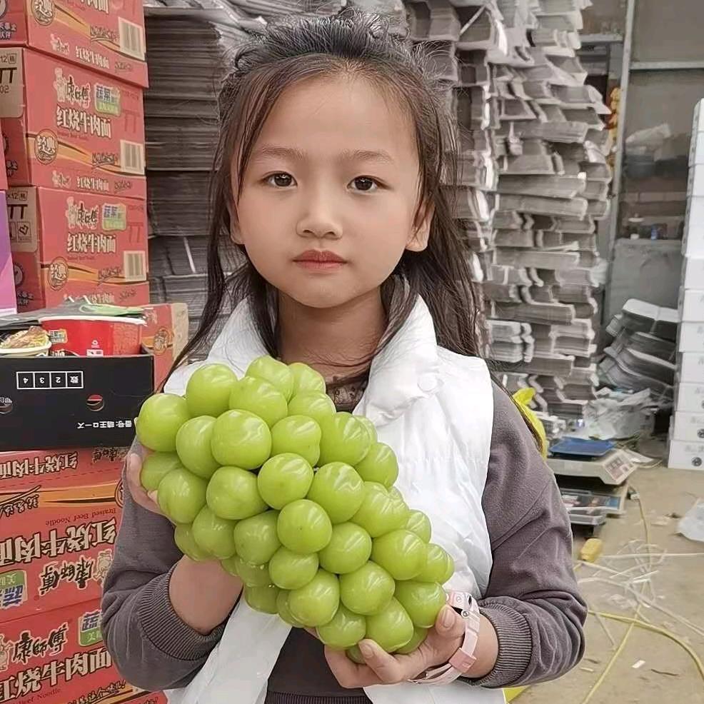 陈利强