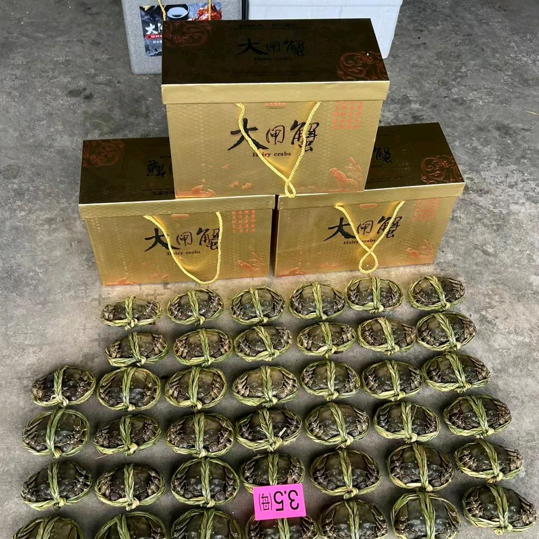 虾搞，螃蟹的老张