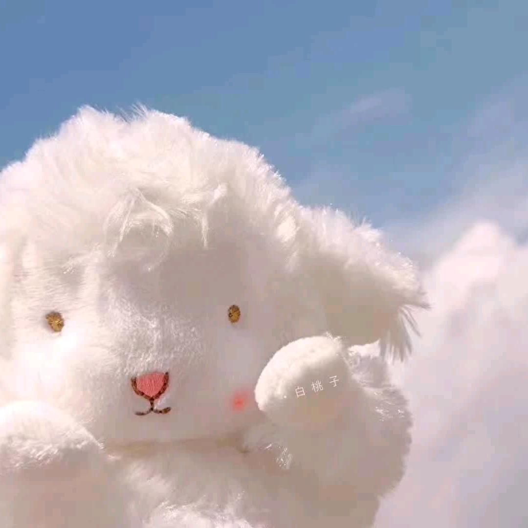 蔓蔓Y