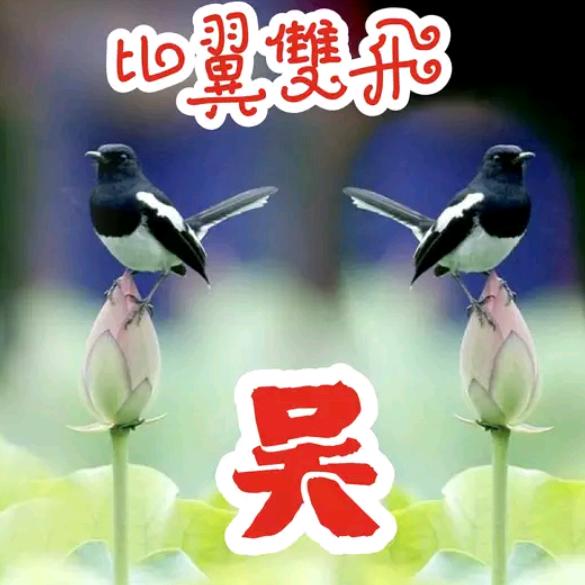十五月亮，十六圆