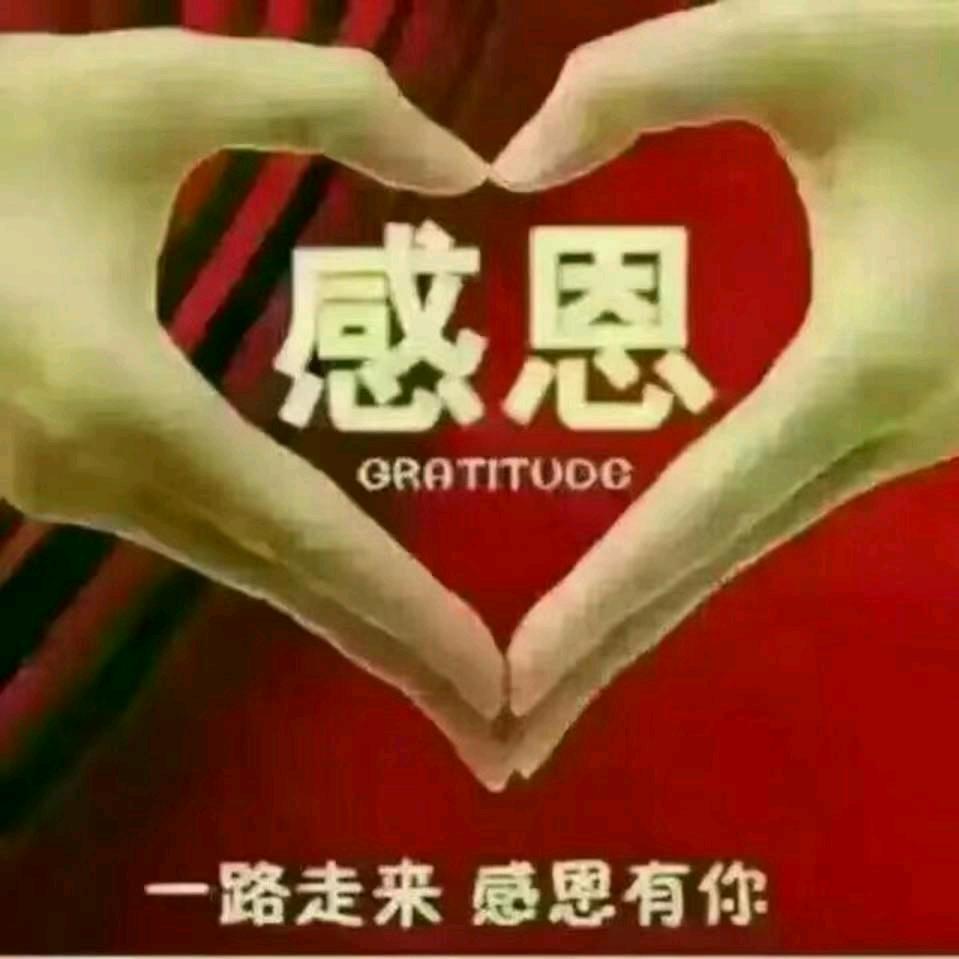 AA感恩