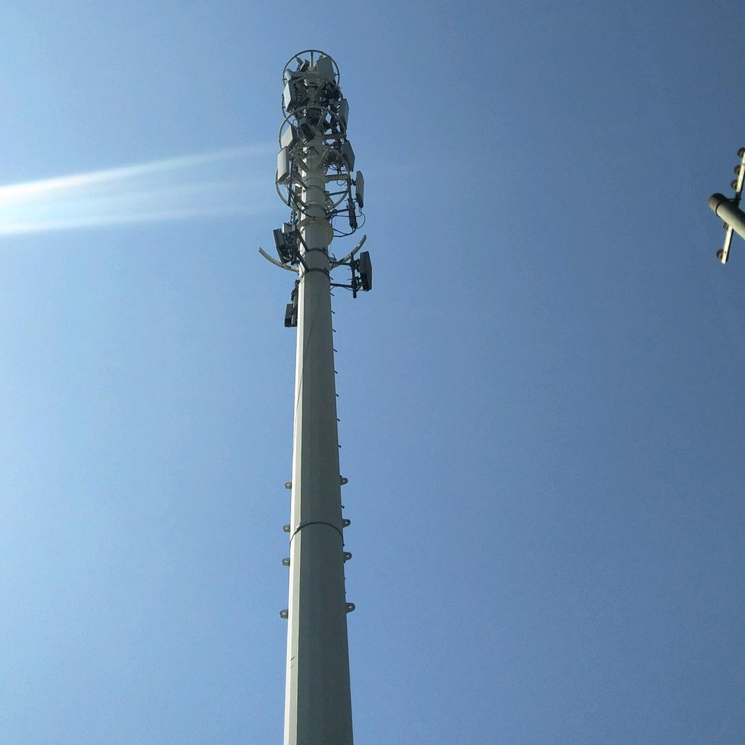 背着电脑的排骨