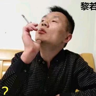 洒家进了酒家