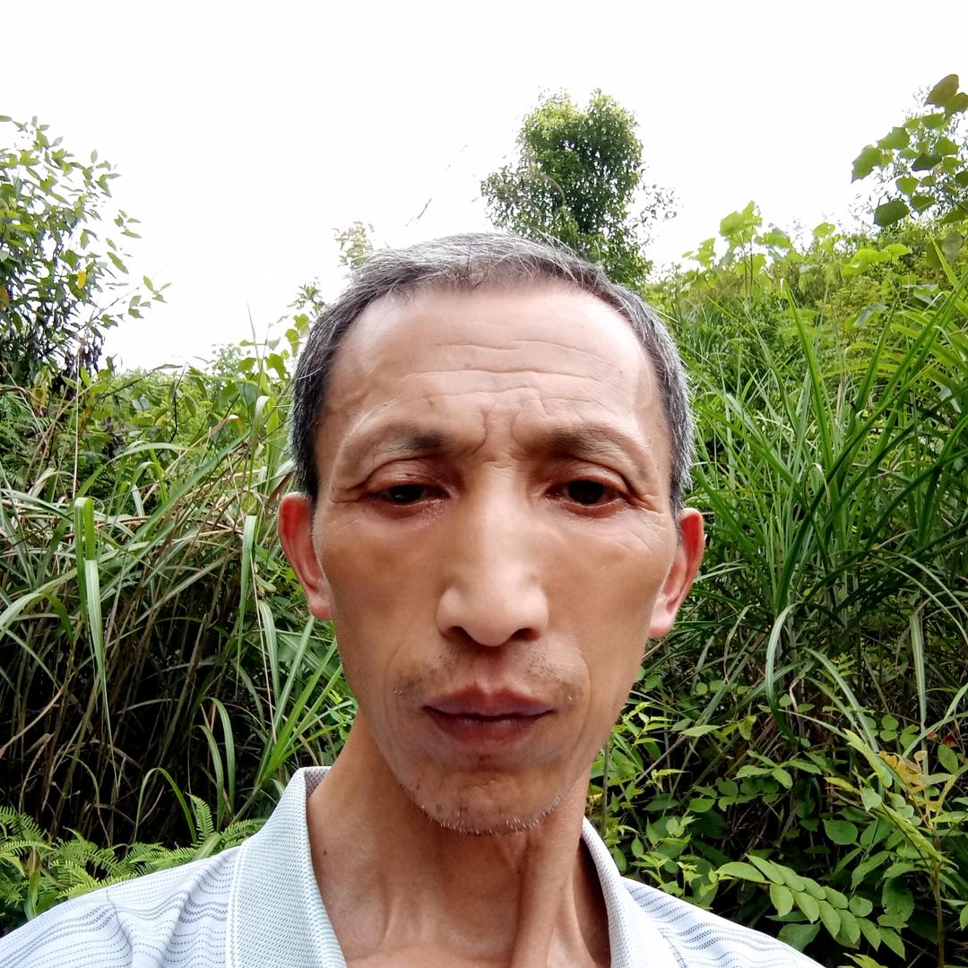 每天开心