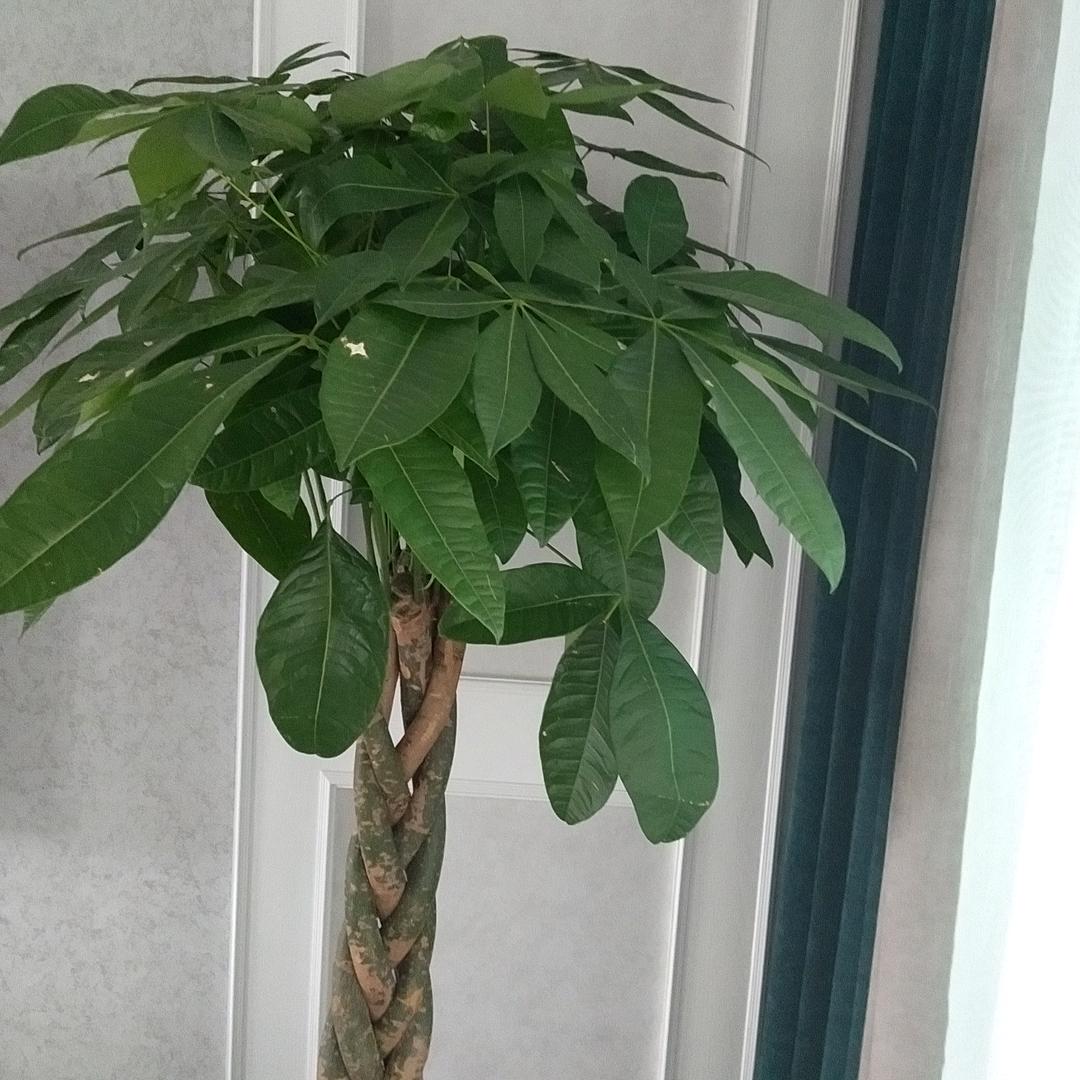 简简单单24416