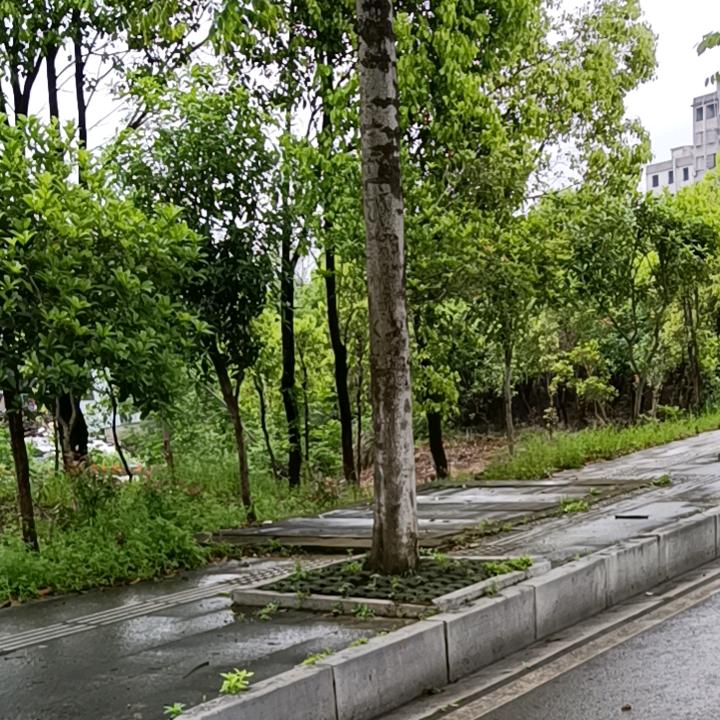 嗯嗯