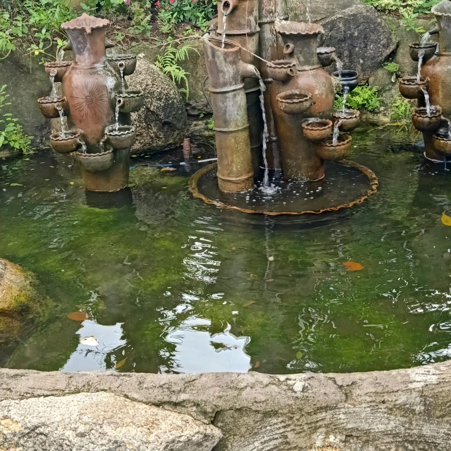 高孃孃