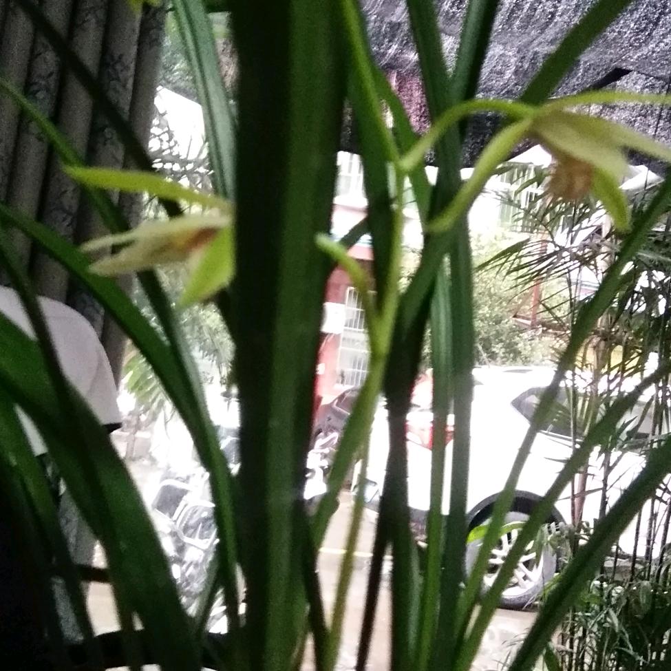 一生无悔