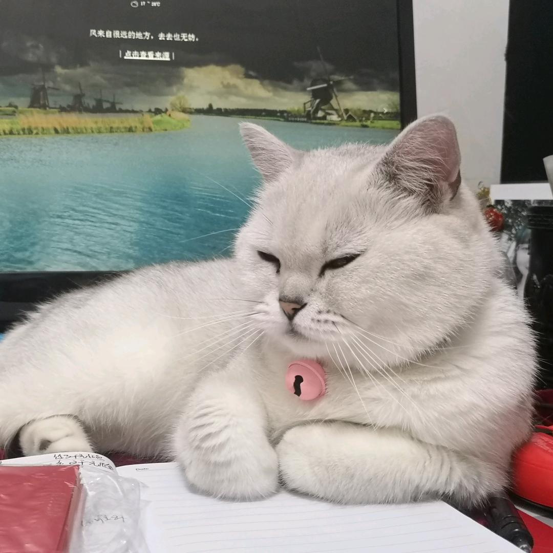 YY777mimi