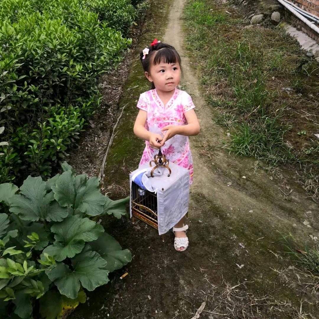 平价竹工艺