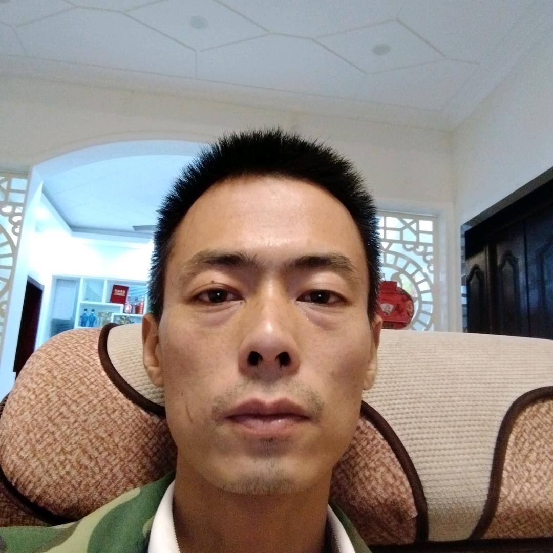 室内装修兼养黑土猪