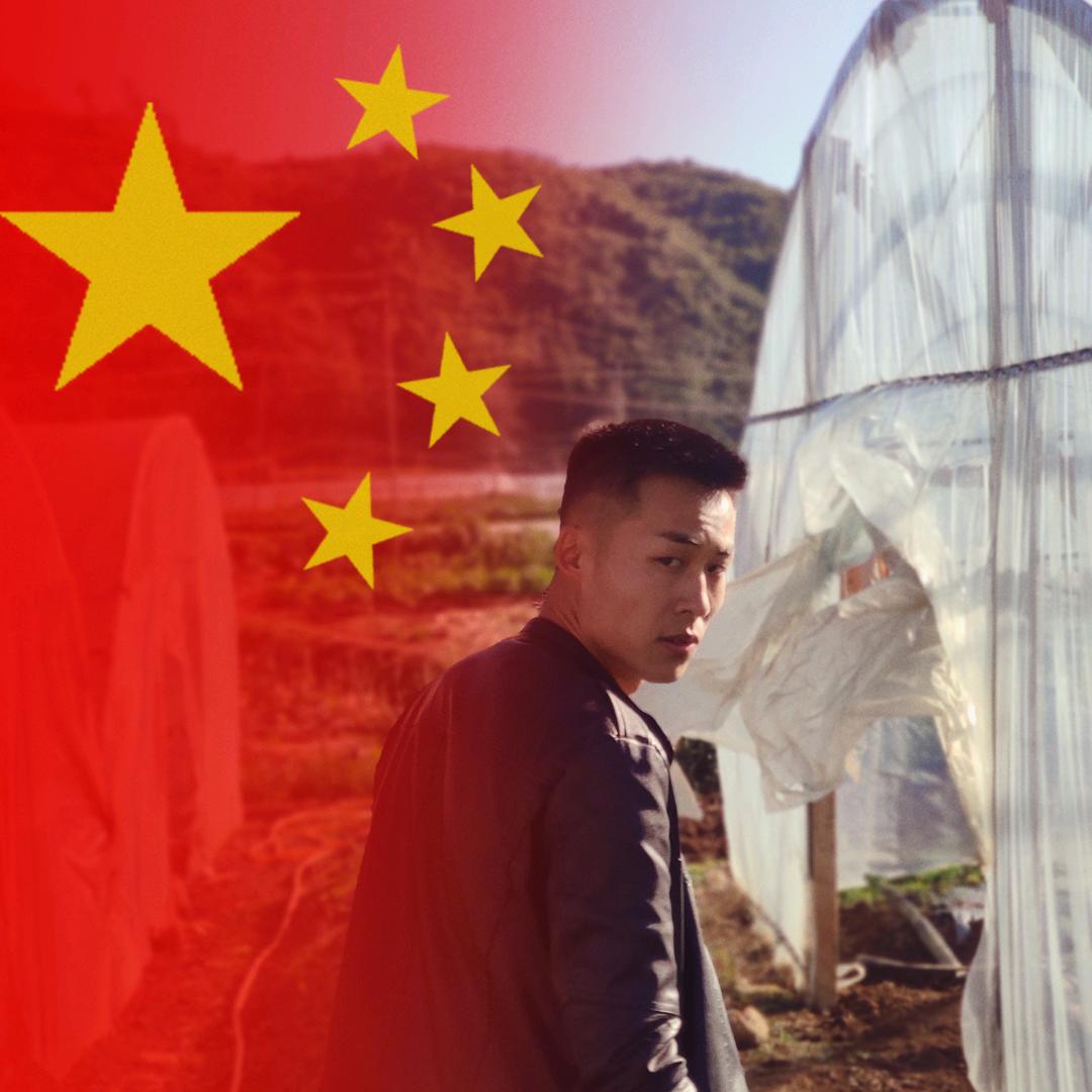吴某