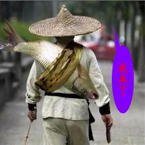 为鱼而乐