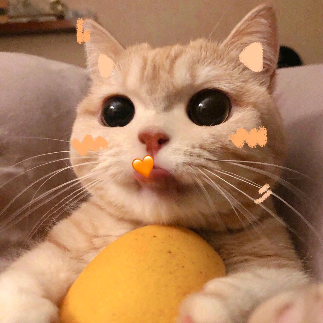 听歌