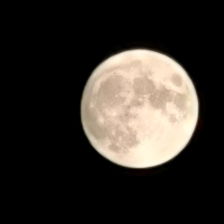 天天瞌睡