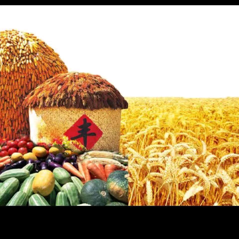 通联驾校魏师傅