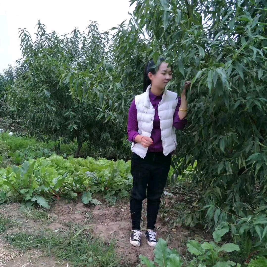 许小妮