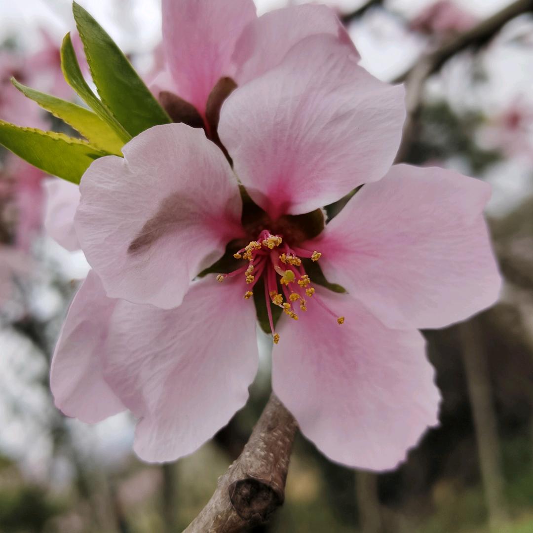 一滴水