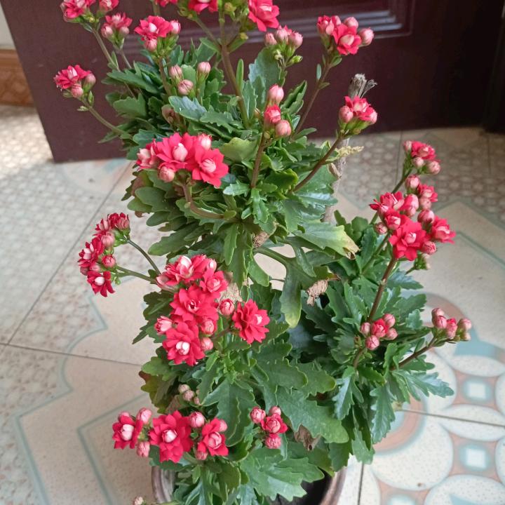 做室内外保温保洁美缝