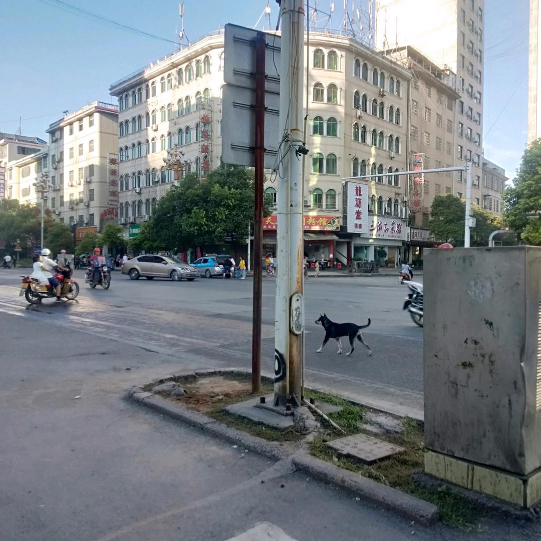 瞎说胡掰