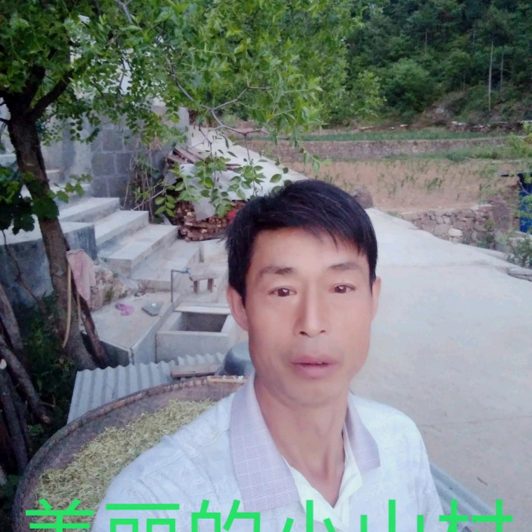 狼行天下