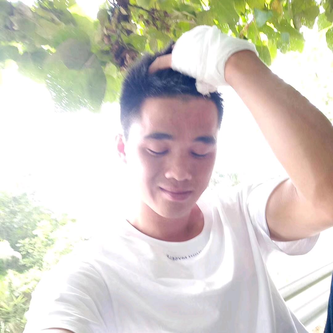 果领袖沈掌柜