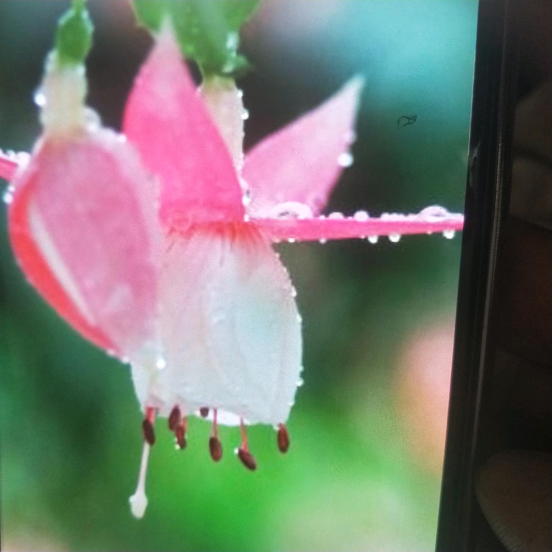 有缘人