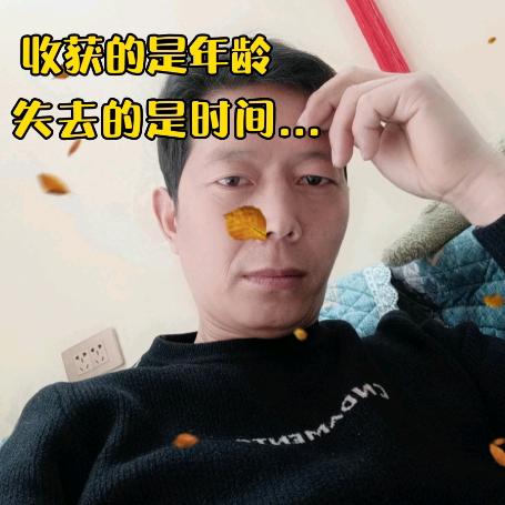 监理生哥