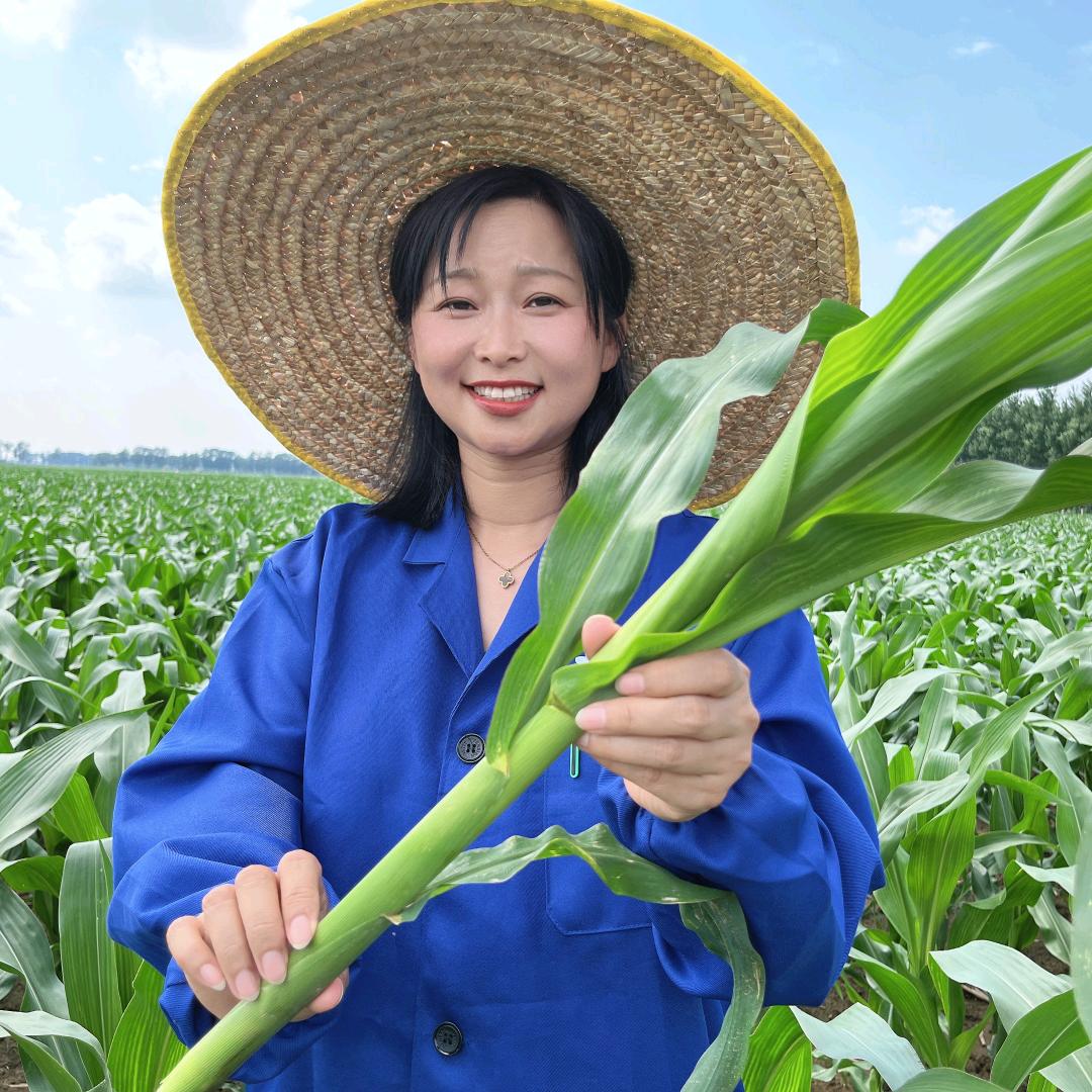 玉米大艳～东亚种业