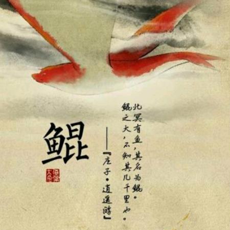 鲲鲲